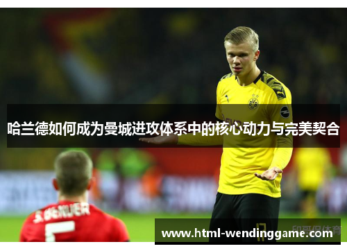 哈兰德如何成为曼城进攻体系中的核心动力与完美契合